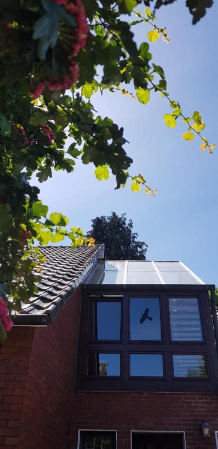 Giselas Haus Cloppenburg Eksteriør bilde
